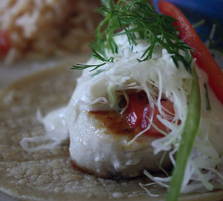 Monico's Fish Taco's